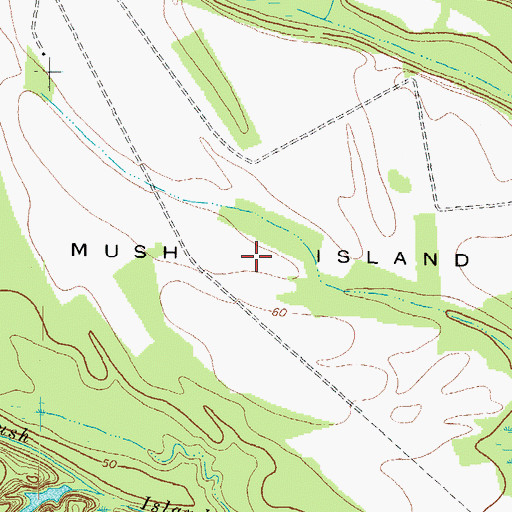 Topographic Map of Mush Island, NC