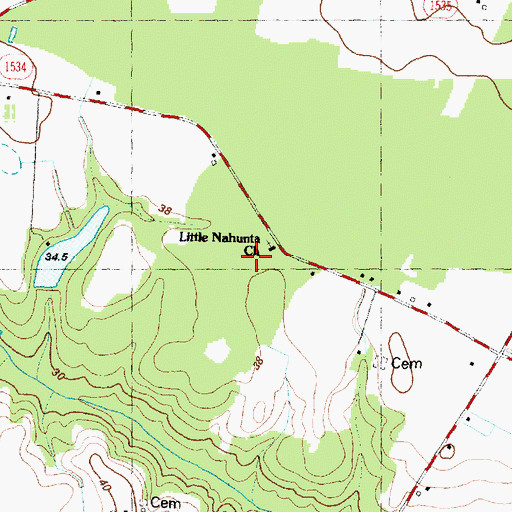 Topographic Map of Nahunta Church, NC