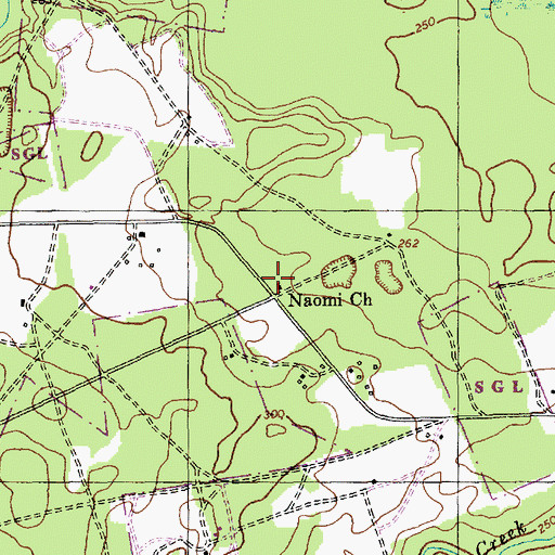 Topographic Map of Naomi Church, NC