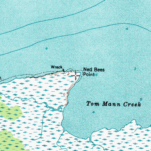 Topographic Map of Ned Bees Point, NC