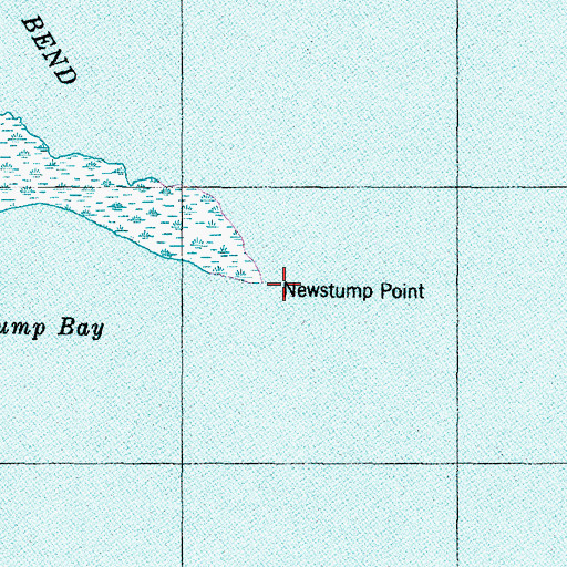 Topographic Map of Newstump Point, NC