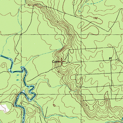 Topographic Map of Newton Cemetery, NC