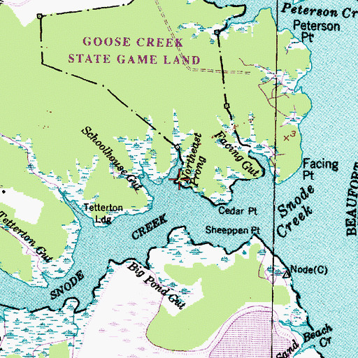 Topographic Map of Northeast Prong, NC