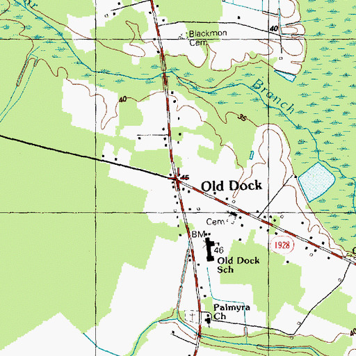 Topographic Map of Old Dock, NC
