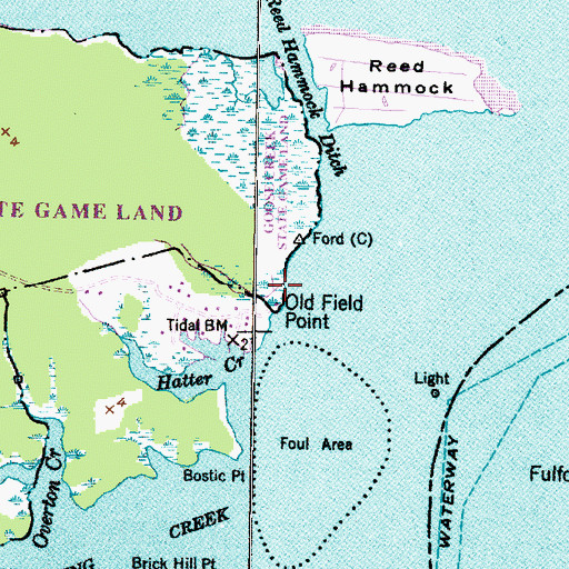 Topographic Map of Old Field Point, NC