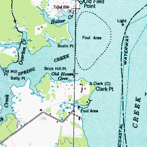 Topographic Map of Old House Cove, NC