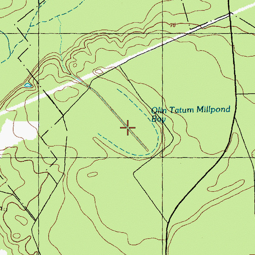 Topographic Map of Olin Tatum Millpond Bay, NC