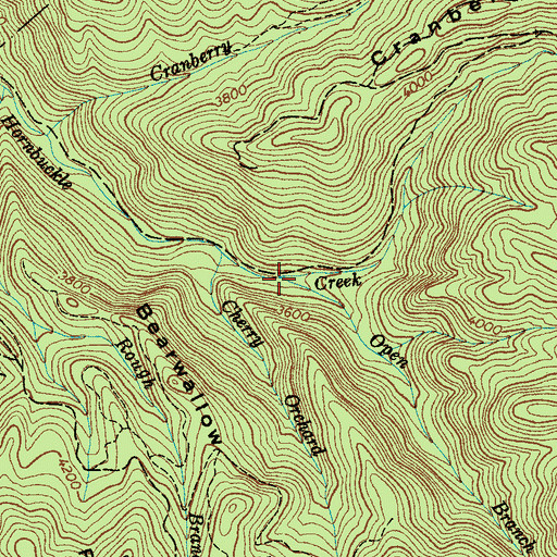 Topographic Map of Open Branch, NC