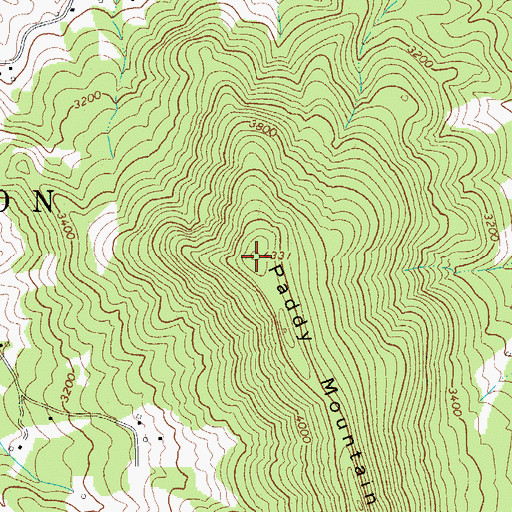 Topographic Map of Paddy Mountain, NC