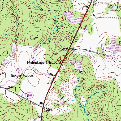 Topographic Map of Palestine Church, NC