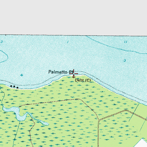 Topographic Map of Palmetto Point, NC