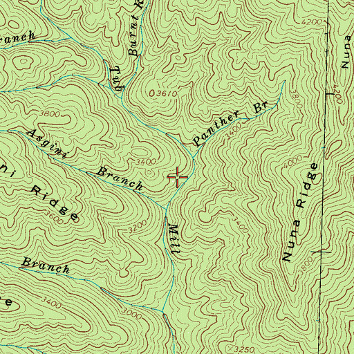 Topographic Map of Panther Branch, NC