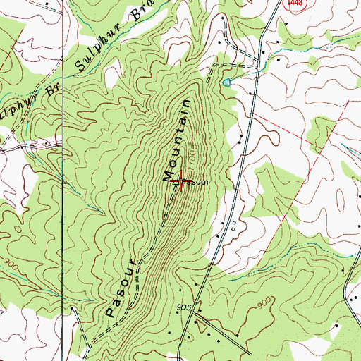 Topographic Map of Pasour Mountain, NC