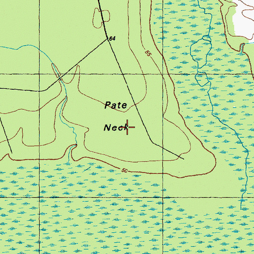 Topographic Map of Pate Neck, NC