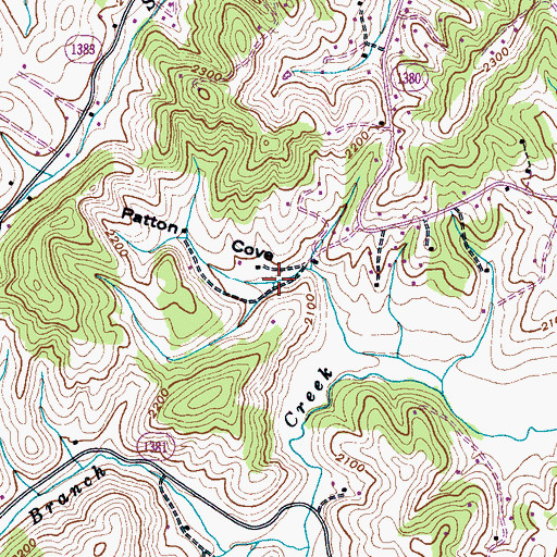 Topographic Map of Patton Cove, NC