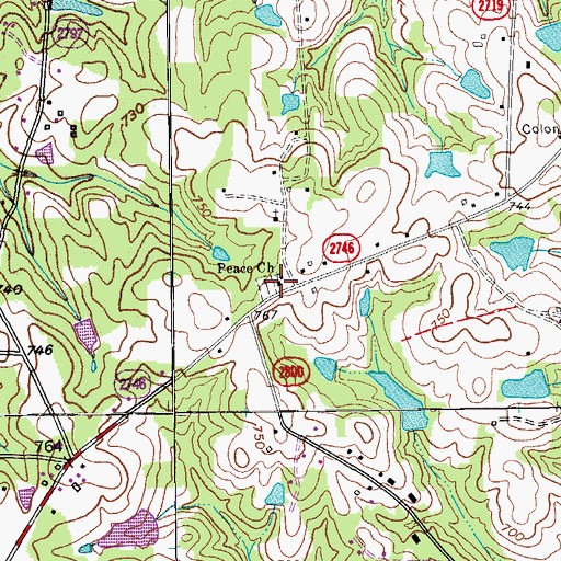 Topographic Map of Peace Church, NC