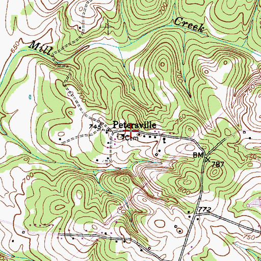 Topographic Map of Petersville, NC