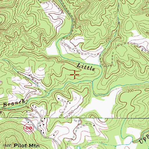 Topographic Map of Pilot Branch, NC