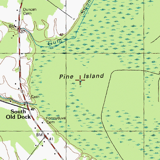 Topographic Map of Pine Island, NC