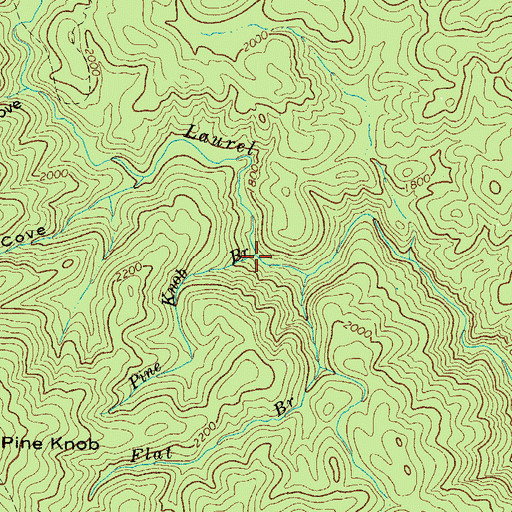Topographic Map of Pine Knob Branch, NC