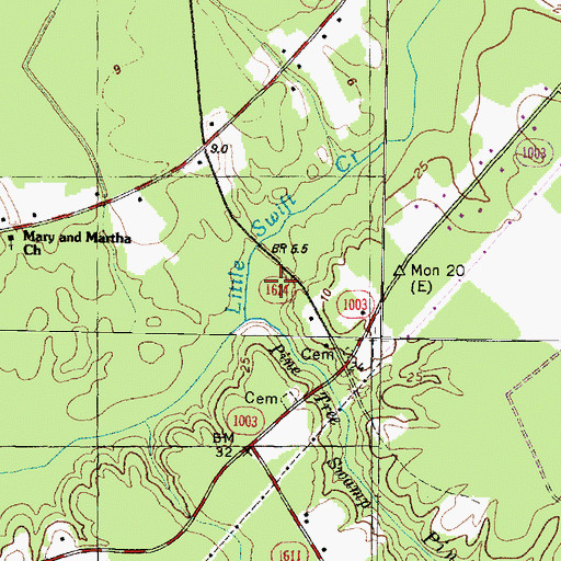 Topographic Map of Pine Tree Swamp, NC