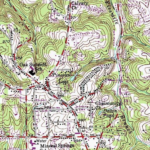 Topographic Map of Pineview Lake, NC