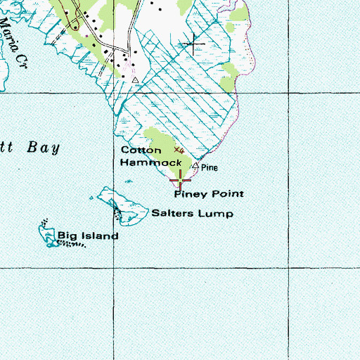 Topographic Map of Piney Point, NC
