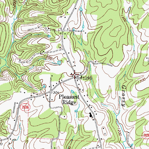 Topographic Map of Pleasant Ridge, NC