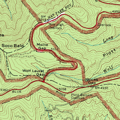 Topographic Map of Plott Ridge, NC