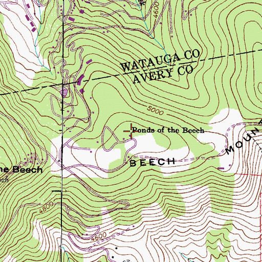 Topographic Map of Ponds of the Beech, NC