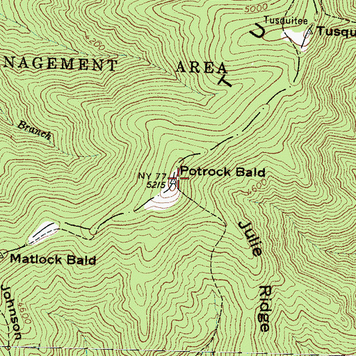 Topographic Map of Potrock Bald, NC