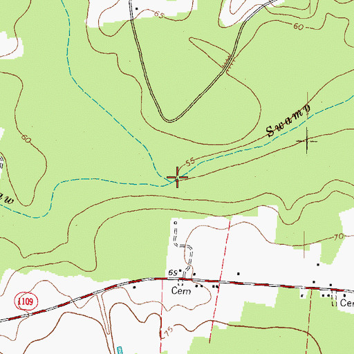Topographic Map of Quarter Swamp, NC