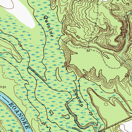 Topographic Map of Quinine Swamp, NC