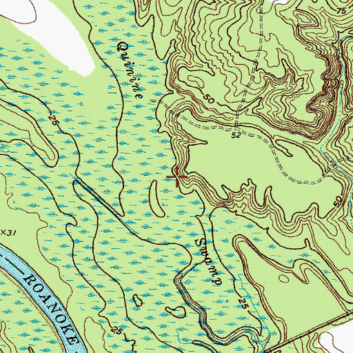 Topographic Map of Quinine Swamp, NC