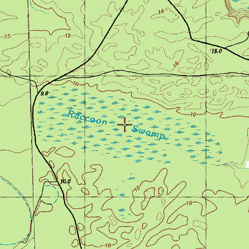 Topographic Map of Raccoon Swamp, NC