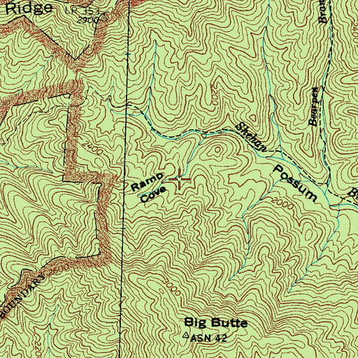 Topographic Map of Ramp Cove, NC