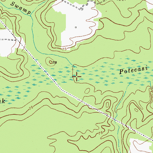 Topographic Map of Ramsey Creek, NC