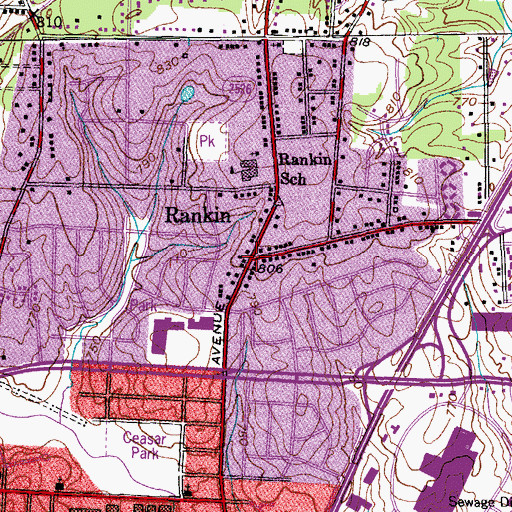 Topographic Map of Rankin, NC