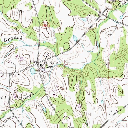 Topographic Map of Reedy Branch, NC