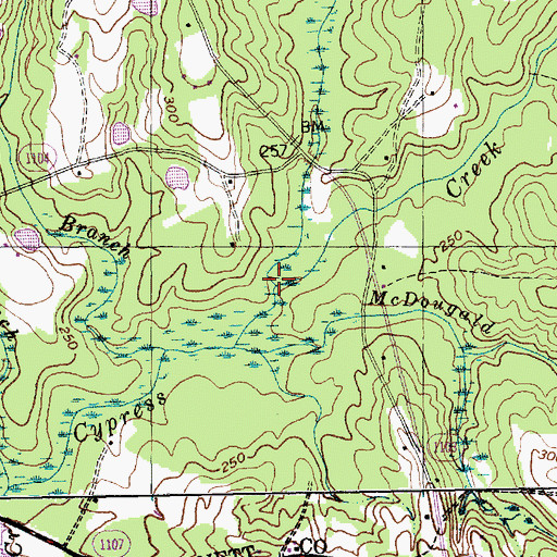 Topographic Map of Reedy Branch, NC