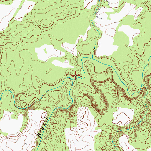 Topographic Map of Reedy Branch, NC