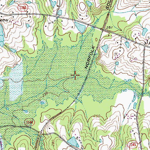 Topographic Map of Reedy Branch, NC