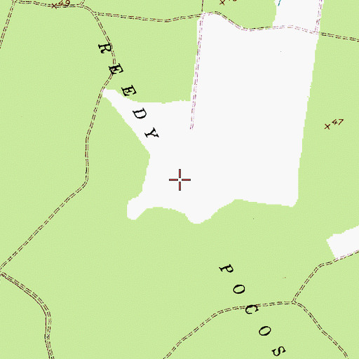 Topographic Map of Reedy Pocosin, NC
