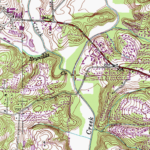 Topographic Map of Reynolds Creek, NC
