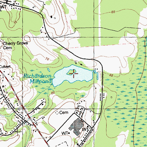 Topographic Map of Richardson Millpond, NC