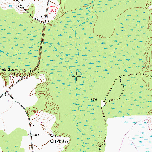 Topographic Map of Richland Swamp, NC