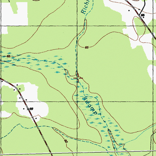 Topographic Map of Richlands Branch, NC