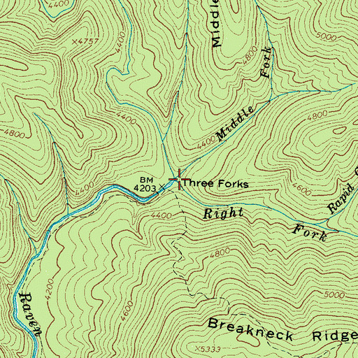 Topographic Map of Right Fork Raven Fork, NC