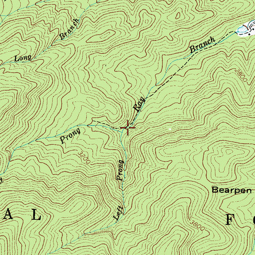 Topographic Map of Right Prong Ray Branch, NC