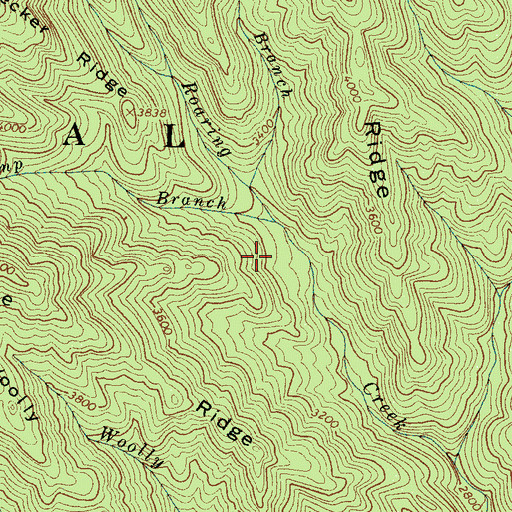 Topographic Map of Rock Camp Branch, NC